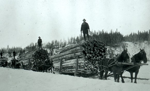 Transport-du-bois.-D21,-D10